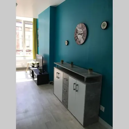 Spacieux Au Centre Ville D3