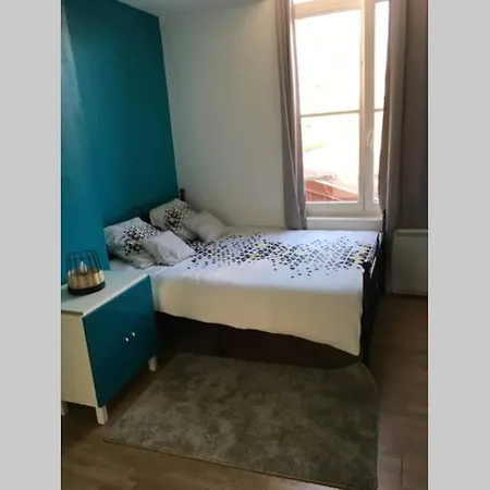 Spacieux Au Centre Ville D3 *